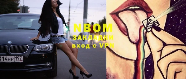 индика Шарыпово