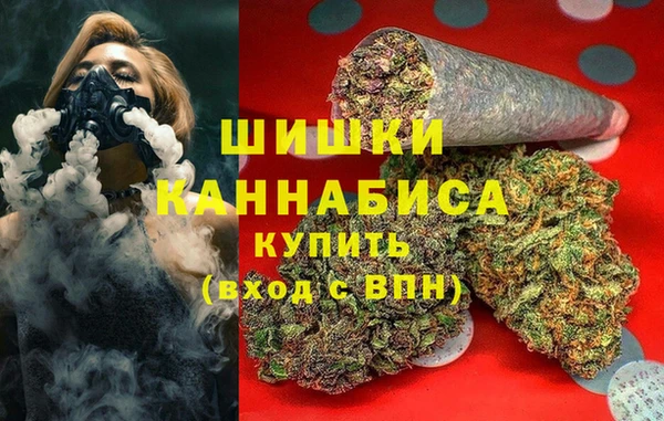 индика Шарыпово