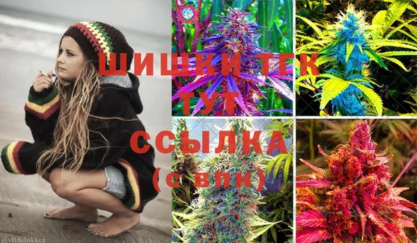 стафф Шали