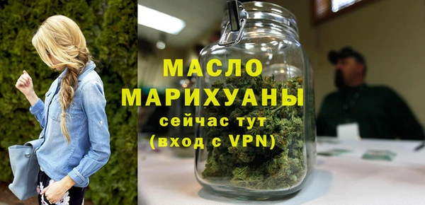 индика Шарыпово