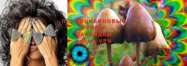 индика Шарыпово