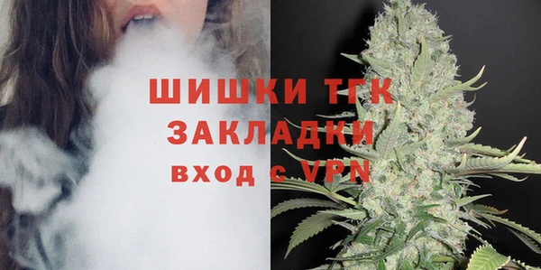 индика Шарыпово