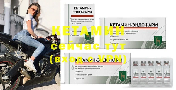 индика Шарыпово