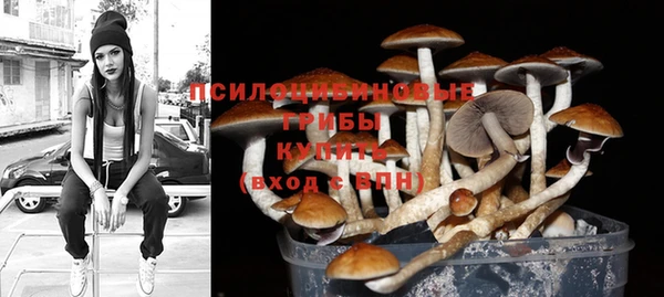 спайс Шадринск