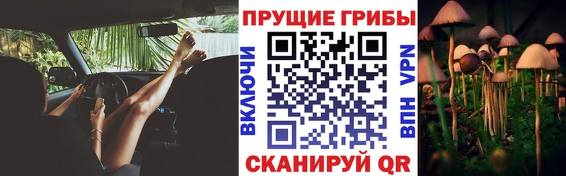 Псилоцибиновые грибы MAGIC MUSHROOMS  Купить где  Сланцы 